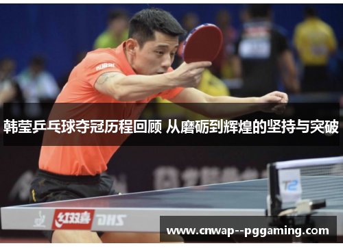 韩莹乒乓球夺冠历程回顾 从磨砺到辉煌的坚持与突破